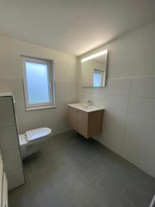 een badkamer met een wastafel, een toilet en een spiegel bij FerienanlageKappeln in Kappeln