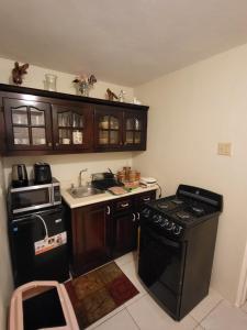 a small kitchen with a stove and a sink at Eve's Rockaway Villa in Alligator Pond Village