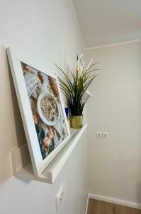 a shelf in a hallway with pictures on the wall at Studio apartment in Pärnu
