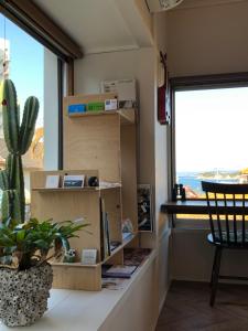 Zimmer mit einem Kaktus, einem Schreibtisch und einem Fenster in der Unterkunft B&B Sampark in Shirahama
