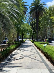 a sidewalk with palm trees in a park at Departamento para 2 personas in Rosario