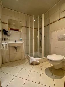 uma casa de banho com um WC, um chuveiro e um lavatório. em Ferienwohnungen Dehn em Bad Dürkheim