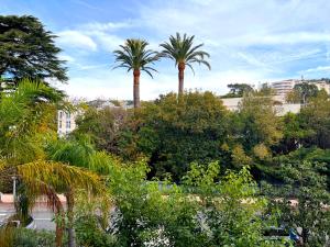 eine Gruppe von Palmen in einem Park in der Unterkunft STUDIO avec terrasse 400m Croisette / Rue d’Antibes in Cannes