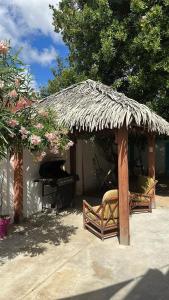 Cabaña de paja con 2 sillas y mesa en Luna 39, en Oranjestad