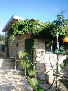 una casa de piedra con un banco delante en Robinson house Kata, en Milna