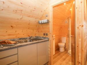 kuchnia ze zlewem i toaletą w drewnianym domku w obiekcie Willow w mieście Ulverston