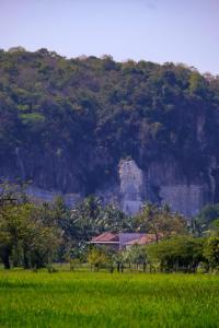 a mountain with a house in front of a field at Family Batcave Homestay in Battambang