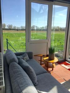 - un salon avec un canapé bleu en face d'une fenêtre dans l'établissement Traumhaft großes, sonniges Haus in Wien Nähe, à Traiskirchen