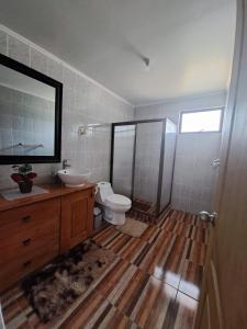 a bathroom with a toilet and a sink and a mirror at Casa de campo Mostazal / Hogar para descansar in El Rincón