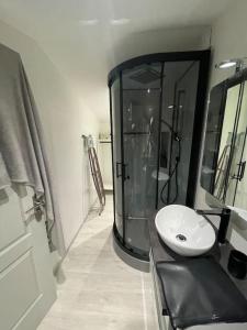 ein Bad mit einem Waschbecken und einem Spiegel in der Unterkunft Chalet de jardin in Marseille