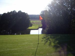 einen Golfplatz mit einer Flagge auf einem Grün in der Unterkunft Golf-Appartement Sonnenblick in Neualbenreuth