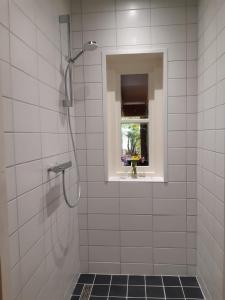 biała łazienka z prysznicem i oknem w obiekcie Tiny House met sauna, vrij uitzicht, midden in de natuur 