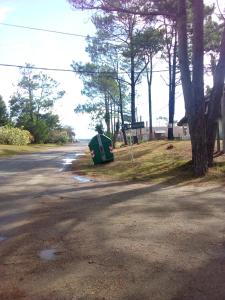 una tienda verde sentada al lado de una carretera en Devoto Piriapolis, en Piriápolis