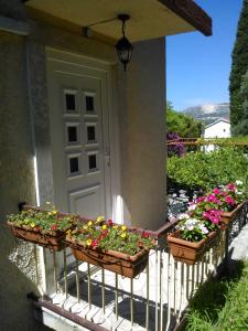 Zahrada ubytování Guest House Međine