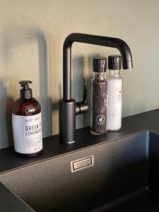 un fregadero con dos botellas de jabón y un grifo en The View, en Røldal