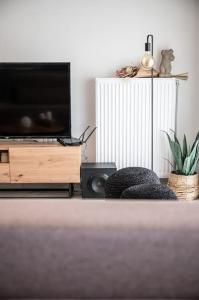 a living room with a flat screen tv and a speaker at Μεζονέτα με θέα στο πάρκο Σταύρος Νιάρχος TWO in Athens
