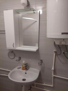 Ένα μπάνιο στο Nešić apartmani, Gornji Gajevi +51 φωτογραφίες