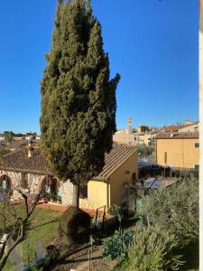 uma grande árvore no meio de um quintal em Il Cipresso Toscano Fibra e comfort nel cuore del Chianti Cozy flat in the heart of Chianti Smart working! em Mercatale Val Di Pesa