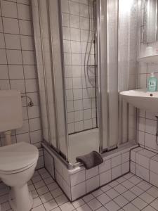 uma casa de banho com um chuveiro, um WC e um lavatório. em Schmökermühle em Andernach