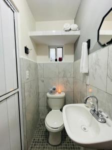 a bathroom with a white toilet and a sink at Departamentos Caracoles Miramar in Ciudad Madero