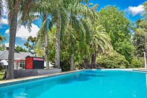 富內斯的住宿－Parador 15，一个种有棕榈树的大型蓝色游泳池