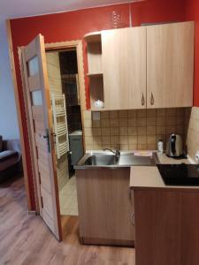 a kitchen with a sink and a counter top at Pokoje i apartamenty u Bartka in Szczawnica