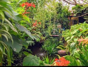Handsworth的住宿－Hidden Gem !Stunning 3 bedroom home in Sheffield，一个带池塘和植物的花园