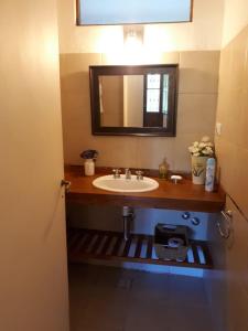 y baño con lavabo y espejo. en Casa quinta Santa Ines en Buenos Aires
