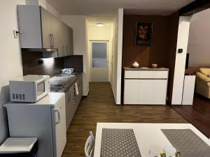 Kuchnia lub aneks kuchenny w obiekcie Apartmán Frank