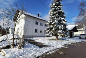 a white house with a christmas tree in the snow at Haus Waldeck in Ühlingen-Birkendorf