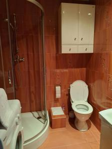 a bathroom with a toilet and a shower at "Przy dworcu PKP" in Kołobrzeg