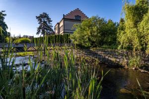 a house with a pond in front of a building at Apartmán Frank in Česká Kamenice