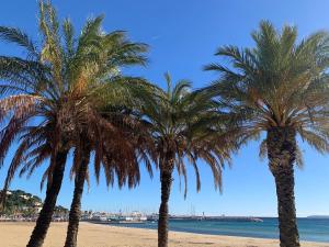Naturlandskabet i nærheden af lejligheden