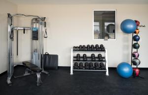 Fitness centrum a/nebo fitness zařízení v ubytování Malana Hotels & Suites