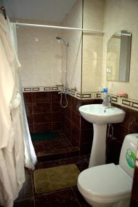 阿德列爾的住宿－雅典娜酒店，带淋浴、卫生间和盥洗盆的浴室