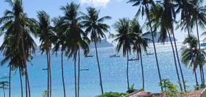 - une vue sur la plage bordée de palmiers et l'océan dans l'établissement Island Hop Inn, à El Nido
