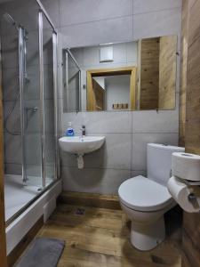 a bathroom with a toilet and a sink and a shower at FOKA Hostel in Wrocław