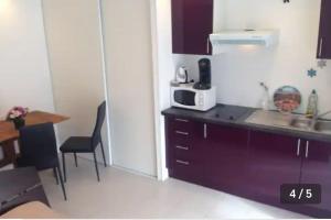 a kitchen with a sink and a microwave at STUDIO MEUBLE PROCHE NANCY in Marbache