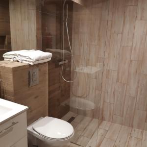 a bathroom with a toilet and a glass shower at Pueblo Apartamenty in Stegna