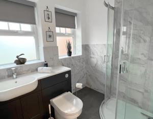 een badkamer met een douche, een toilet en een wastafel bij 1 Bed / 1 Sofa Bed 'Scandi' Style Ground Floor Apartment in Yeovil