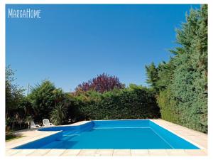 a blue swimming pool in a garden with trees at MARGAHOME in Maipú