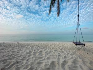 a swing hanging from a palm tree on a beach at Brisa Fresca in Thoddoo