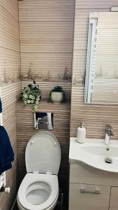 a bathroom with a toilet and a sink at Garsoniera centru pietonal in Târgu Jiu +17 photos
