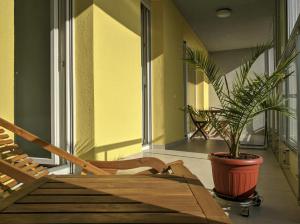 um quarto com uma cadeira e um vaso de plantas em Izzy&Simple em Split