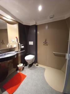 małą łazienkę z toaletą i umywalką w obiekcie Bruse & Costa à la montagne w mieście Chorges