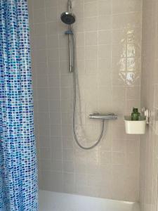 a bathroom with a shower with a blue shower curtain at The John Rand Suite in Samobor
