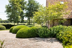 een rij struiken en bomen in een tuin bij Hoeve den Akker - luxueuze vakantiewoningen met privétuinen nabij Brugge, Damme, Knokke, Sluis en Cadzand in Damme