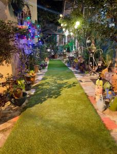 a aisle in a store with green grass and plants at MR Guest House in Tbilisi City