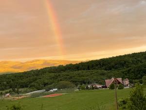 Ein Regenbogen am Himmel über einem grünen Feld in der Unterkunft Pension Domeniul Regilor in Ciurila