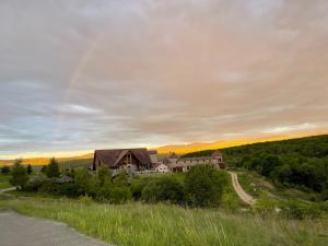 a house on a hill next to a road at Pension Domeniul Regilor in Ciurila